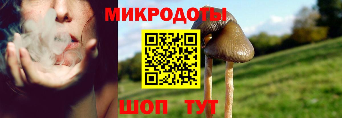 Галлюциногенные грибы прущие грибы Сорочинск
