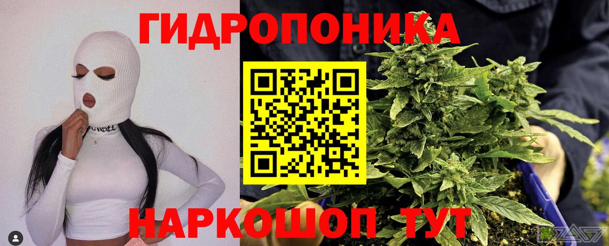 Канабис семена  Бошки марихуана семена  Сорочинск  Вход с VPN 
